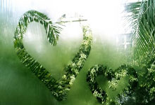 关于CBA常规赛：浙江广厦主场以110：80大胜深圳男篮，展现强势实力的信息