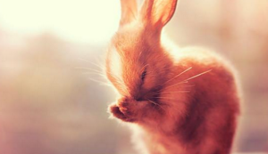 加拿大女足凭借实力，战胜对手