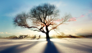 新西兰队体育精神，激励全球观众